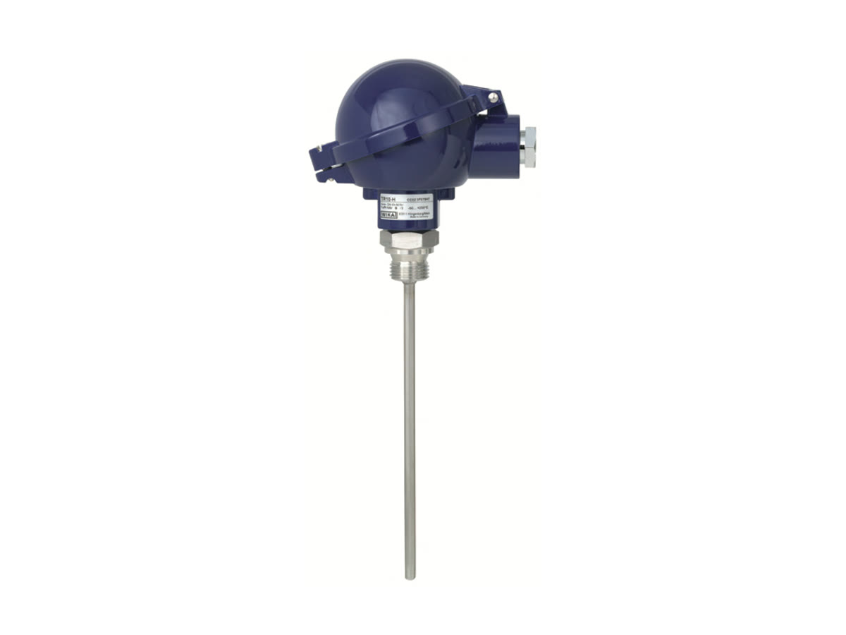 WIKA TR10-H Resistance Thermometer without Thermowell